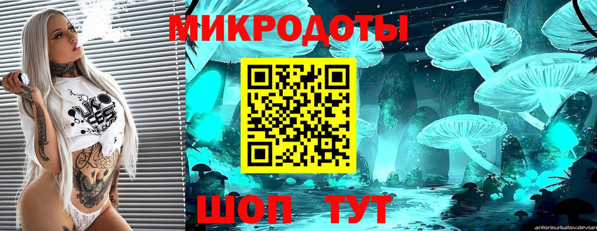 Псилоцибиновые грибы ЛСД  Вход с VPN  как найти   Ставрополь 