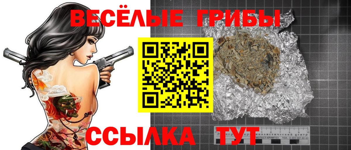 Псилоцибиновые грибы Psilocybe Ставрополь